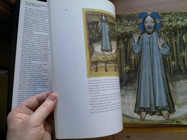 Die Schöpfung - Ein Meisterwerk gotischer Buchmalerei (Antiquarisch)